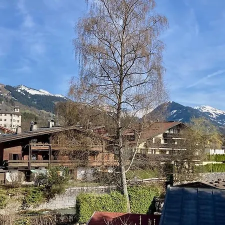 Stadtvilla Mit Sauna & Garten 아파트 *