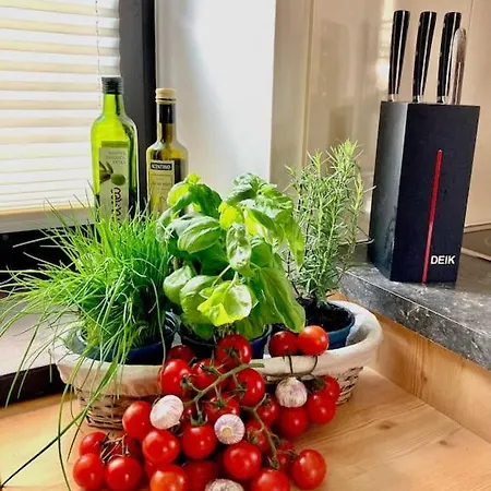 Stadtvilla Mit Sauna & Garten Апартаменты *
