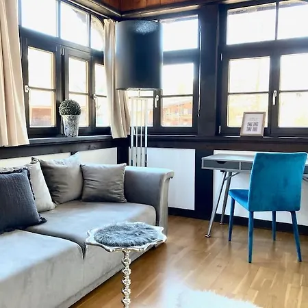 Stadtvilla Mit Sauna & Garten Апартаменты *